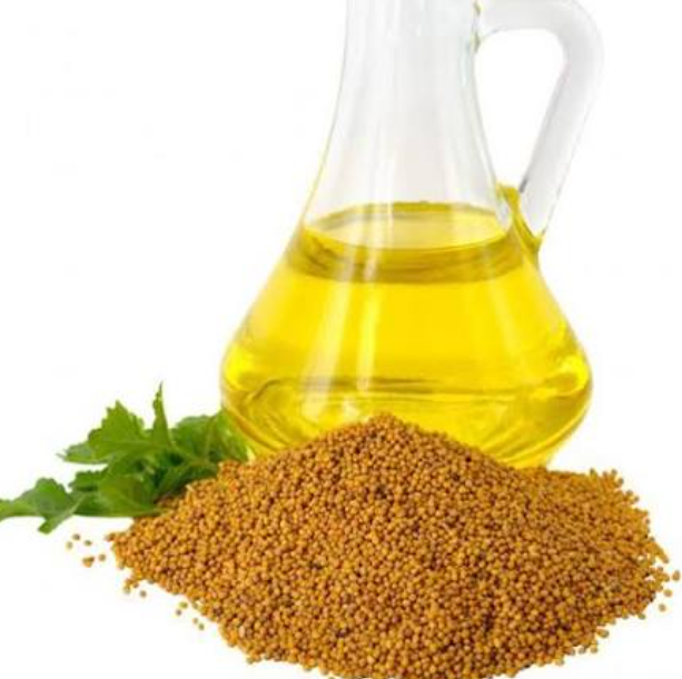 Mustard Seed Oil Unrefined mustard seed oil bulk